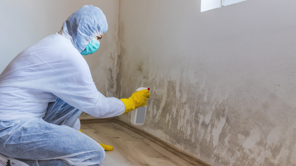 Does Mold Remediation