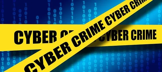 The Economics of Cybercrime